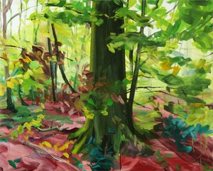 Forêt 3