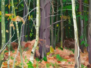 Wald 7 von Olivier Morel