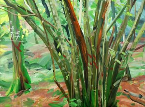 Wald 8, 9. Januar 2015 von Olivier Morel