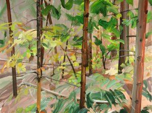 Wald 9, 2015 von Olivier Morel