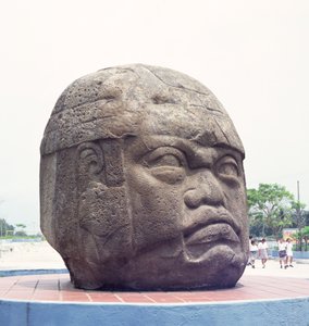 Kolossaler Kopf aus San Lorenzo, Veracruz, Mexiko, präklassisch von Olmec