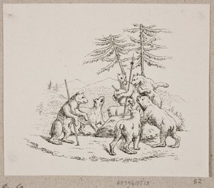 Der vertriebene Bär