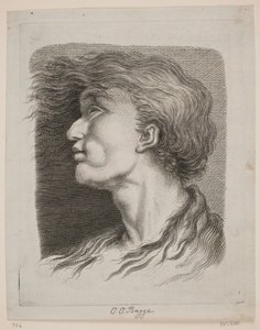 Männerporträt mit flatterndem Haar
