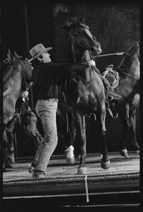 Gregory Peck mit Pferd am Set von 
