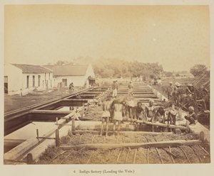 Indigofabrik (Beladen der Bottiche)