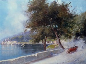 Rennen auf dem See von Oscar Ricciardi