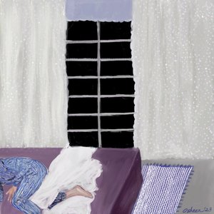 Gemütlicher Fensterschlaf von Osheensgallery
