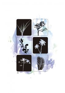 Botanische Silhouetten in Aquarell von Osvaldo Russo