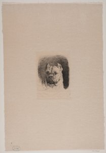Ein Hundekopf von Otto Bache