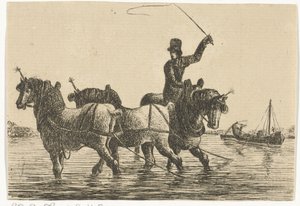 Drei Zugpferde im Wasser