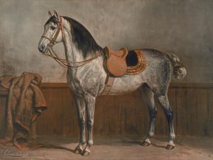 Lipizzaner von Otto Eerelman