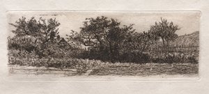 Dächer und Bäume, 1879