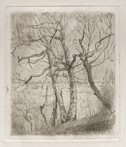 Bäume, 1878