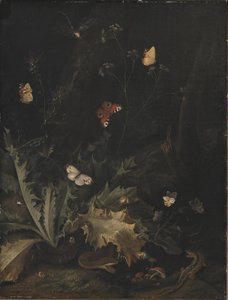 Ein Waldboden mit einer Distel, einer Schlange, einer Eidechse und Schmetterlingen von Otto Marseus  van Schrieck
