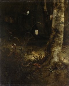 Waldboden mit einer Schlange, Eidechsen, Schmetterlingen und anderen Insekten von Otto Marseus  van Schrieck