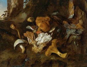Waldboden-Stillleben mit Pilzen, Schmetterlingen und einer Schlange von Otto Marseus  van Schrieck