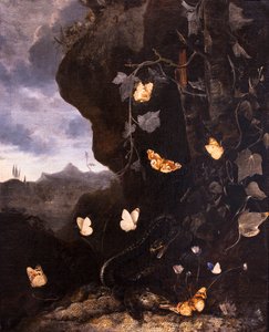 Schlangen, Kröten und Schmetterlinge