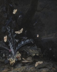 Stillleben mit Distel und Schlange von Otto Marseus  van Schrieck