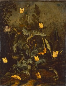 Die Schlange am Vogelnest von Otto Marseus  van Schrieck