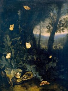 Waldboden mit Distel und Schlange von Otto Marseus  van Schrieck