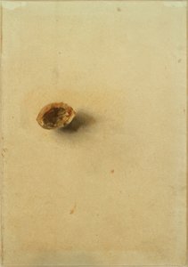 Nussschale von Otto Meyer Amden