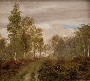 Birken auf Læsø nach dem Regen