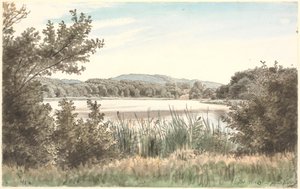 Hundesee auf Møn