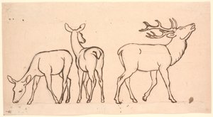 Hirsche und zwei Hirschkühe von P.C. Skovgaard