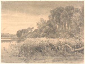 Landschaft mit einem Waldsee. Gurre-See.