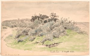 Landschaft mit Gebüsch von P.C. Skovgaard