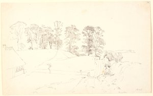 Landschaft mit Bäumen