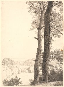 Landschaft bei Skarritsø mit zwei hohen Bäumen, Buchen, im Vordergrund