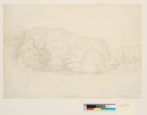 Waldsee mit großen Buchen im Hintergrund