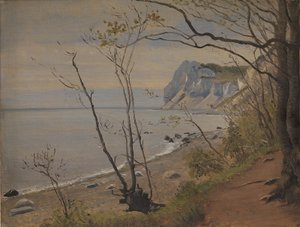 Die Klippen der Insel Møn