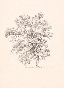Baum bei Fredensborg von P.C. Skovgaard