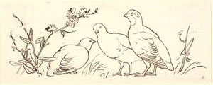 Drei Rebhühner. Dekoratives Entwurf von P.C. Skovgaard