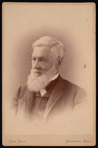 Porträt von Asa Gray
