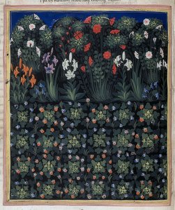 Garten (Aus: Regia Carmina von Convenevole da Prato) von Pacino di Bonaguida