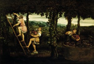 Szene der Weinlese von Paris Bordone