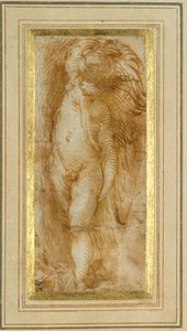 Ein Putto, nach links gewandt von Parmigianino