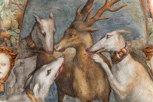 Actaeon, in einen Hirsch verwandelt, wird von seinen eigenen Hunden gefressen, aus dem Raum von Diana und Actaeon, der Nordwand (Detail) von Parmigianino