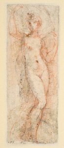 Weibliche Figur - Studie für die Steccata von Parmigianino