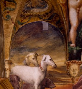 Gruppe von Hunden von Parmigianino