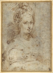 Halbfigur einer sitzenden Frau von Parmigianino