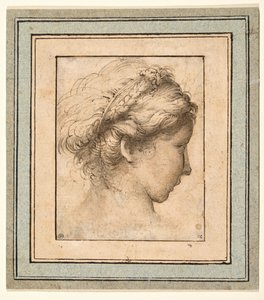 Profilkopf eines Mädchens, das nach rechts schaut von Parmigianino