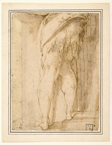 Studie für die Beine von Johannes dem Täufer von Parmigianino