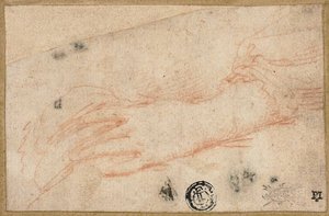 Skizze der linken Hand und des Handgelenks von Parmigianino