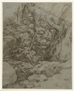 Studie einer Landschaft von Parmigianino