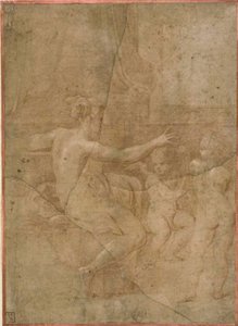 Venus mit Amor und Putto von Parmigianino