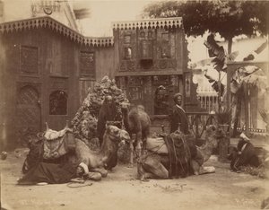 Halle der Kamele von Pascal Sébah